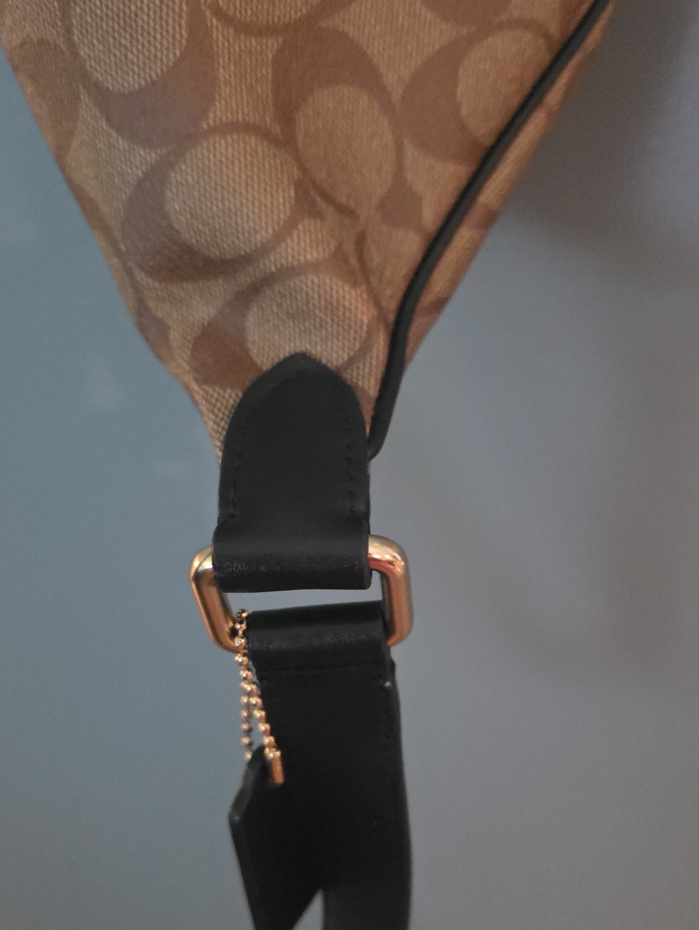 Coach x Chelsea Champlain Tattoo Signature Belt Bag (Style F76663) - Picture 9 of 13